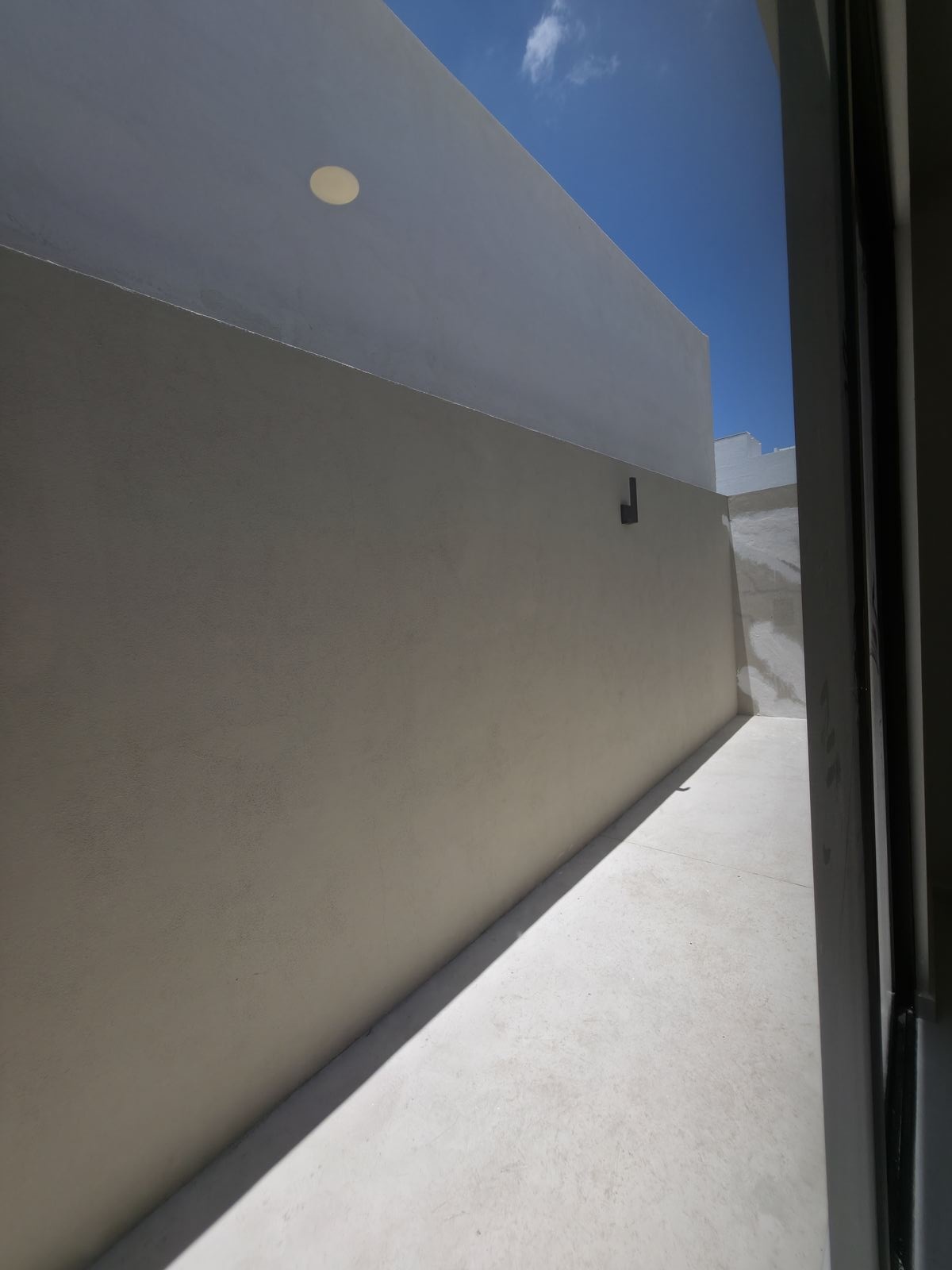 Patio trasero